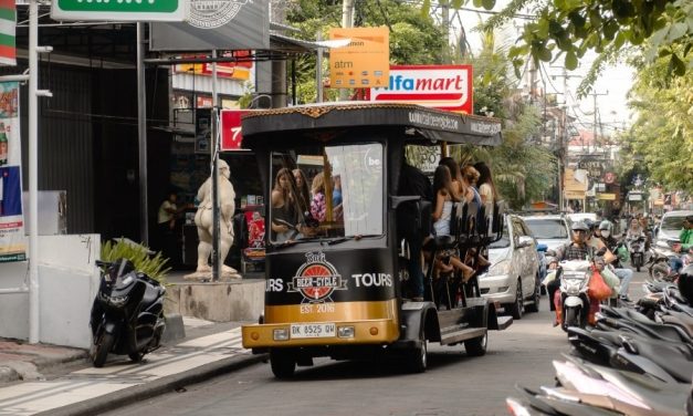 Bali Resorts With Kids Activities