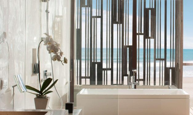 Underwater Attractions For Bali Marine Life Lovers