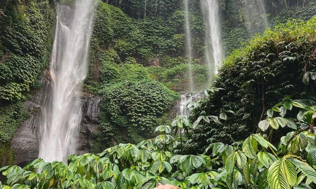 Easy Hiking Trails Ubud Bali