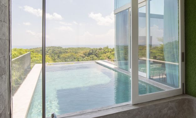 Ubud Monkey Forest Travel Tips For Visitors