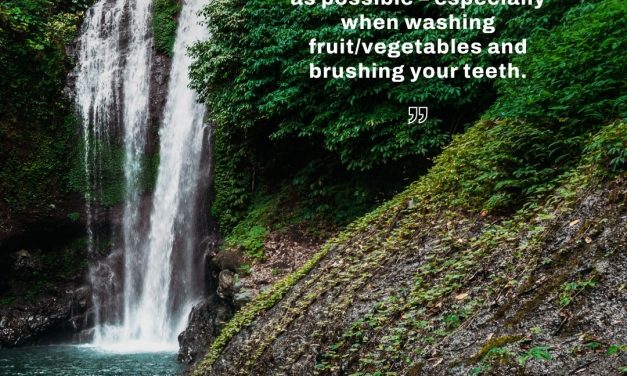 Photography Tips For Bali Rice Terraces