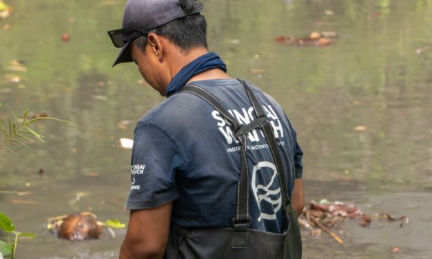 Top Things To Do In Canggu For First Time Visitors