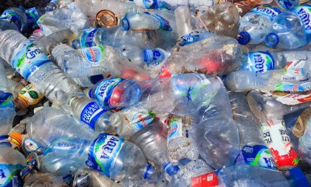 Tourists Give Backing To Bali’s New Ban On Plastics As Governor Takes Next Steps