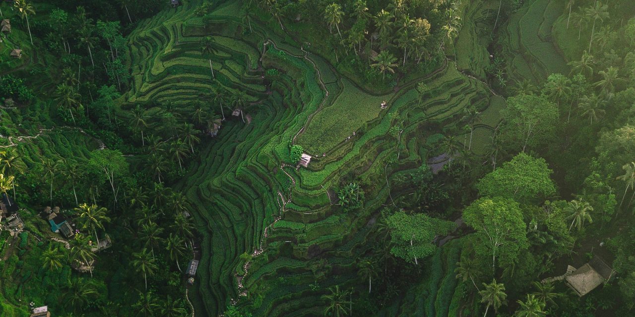 Ultimate Guide to Spa and Wellness in Seminyak Bali