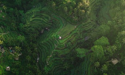 Ultimate Guide to Spa and Wellness in Seminyak Bali