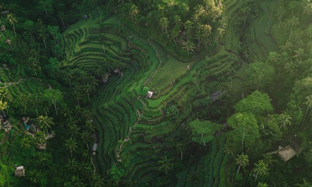 Ultimate Guide to Spa and Wellness in Seminyak Bali