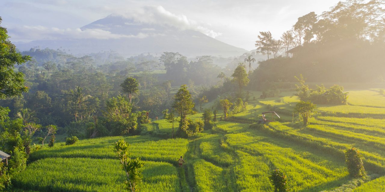 Discover the Best Beach Clubs in Seminyak Bali