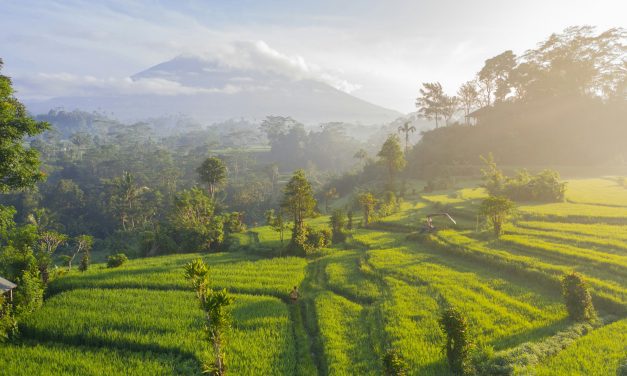 Discover the Best Beach Clubs in Seminyak Bali