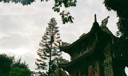 The Ultimate Guide to Seminyak’s Iconic Beach Clubs
    <div class="agoda-widget-container" style="margin: 30px auto; text-align: center; clear: both;">
        <div id="adgshp-1057899162-top"></div>
        <script type="text/javascript">
        (function() {
            var stg = new Object(); 
            stg.crt="4400207782257";
            stg.version="1.05"; 
            stg.id=stg.name="adgshp-1057899162-top"; 
            stg.Width="728px"; 
            stg.Height="90px";
            stg.RefKey="n+6Yd+4G56NUyOfdQAQQ/Q==";
            stg.AutoScrollSpeed=3000;
            stg.AutoScrollToggle=true;
            stg.SearchboxShow=false;
            stg.DiscountedOnly=true;
            stg.Layout="widedynamic"; 
            stg.Language="en-us";
            stg.ApiKey="32d3ebbc-e5d5-4a35-824a-e9d09ddd8ca8";
            stg.Cid="1954549";  
            stg.Area="27988"; 
            stg.City="17193";
            stg.Currency="USD";
            stg.OverideConf=false; 
            new AgdDynamic("adgshp-1057899162-top").initialize(stg);
        })();
        </script>
    </div>