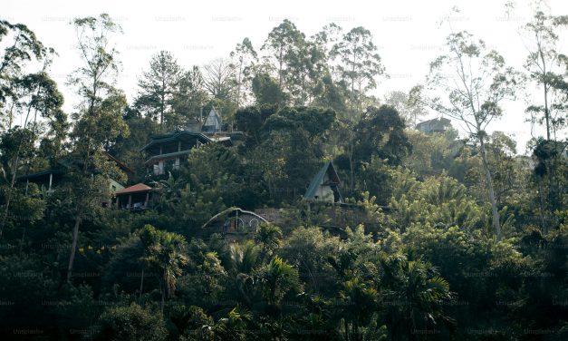 Seminyak Beach Clubs: Ultimate Guide to Bali’s Luxury Beach Lifestyle