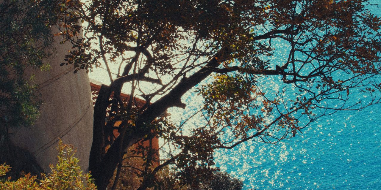 Seminyak Hotels Guide: Where to Stay in Bali’s Luxury Beach Destination
    <div class="agoda-widget-container" style="margin: 30px auto; text-align: center; clear: both;">
        <div id="adgshp-1057899162-top"></div>
        <script type="text/javascript">
        (function() {
            var stg = new Object(); 
            stg.crt="4400207782257";
            stg.version="1.05"; 
            stg.id=stg.name="adgshp-1057899162-top"; 
            stg.Width="728px"; 
            stg.Height="90px";
            stg.RefKey="n+6Yd+4G56NUyOfdQAQQ/Q==";
            stg.AutoScrollSpeed=3000;
            stg.AutoScrollToggle=true;
            stg.SearchboxShow=false;
            stg.DiscountedOnly=true;
            stg.Layout="widedynamic"; 
            stg.Language="en-us";
            stg.ApiKey="32d3ebbc-e5d5-4a35-824a-e9d09ddd8ca8";
            stg.Cid="1954549";  
            stg.Area="27988"; 
            stg.City="17193";
            stg.Currency="USD";
            stg.OverideConf=false; 
            new AgdDynamic("adgshp-1057899162-top").initialize(stg);
        })();
        </script>
    </div>