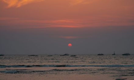 Sustainable Tourism in Seminyak: Eco-Friendly Travel Guide for Bali
    <div class="agoda-widget-container" style="margin: 30px auto; text-align: center; clear: both;">
        <div id="adgshp-1057899162-top"></div>
        <script type="text/javascript">
        (function() {
            var stg = new Object(); 
            stg.crt="4400207782257";
            stg.version="1.05"; 
            stg.id=stg.name="adgshp-1057899162-top"; 
            stg.Width="728px"; 
            stg.Height="90px";
            stg.RefKey="n+6Yd+4G56NUyOfdQAQQ/Q==";
            stg.AutoScrollSpeed=3000;
            stg.AutoScrollToggle=true;
            stg.SearchboxShow=false;
            stg.DiscountedOnly=true;
            stg.Layout="widedynamic"; 
            stg.Language="en-us";
            stg.ApiKey="32d3ebbc-e5d5-4a35-824a-e9d09ddd8ca8";
            stg.Cid="1954549";  
            stg.Area="27988"; 
            stg.City="17193";
            stg.Currency="USD";
            stg.OverideConf=false; 
            new AgdDynamic("adgshp-1057899162-top").initialize(stg);
        })();
        </script>
    </div>