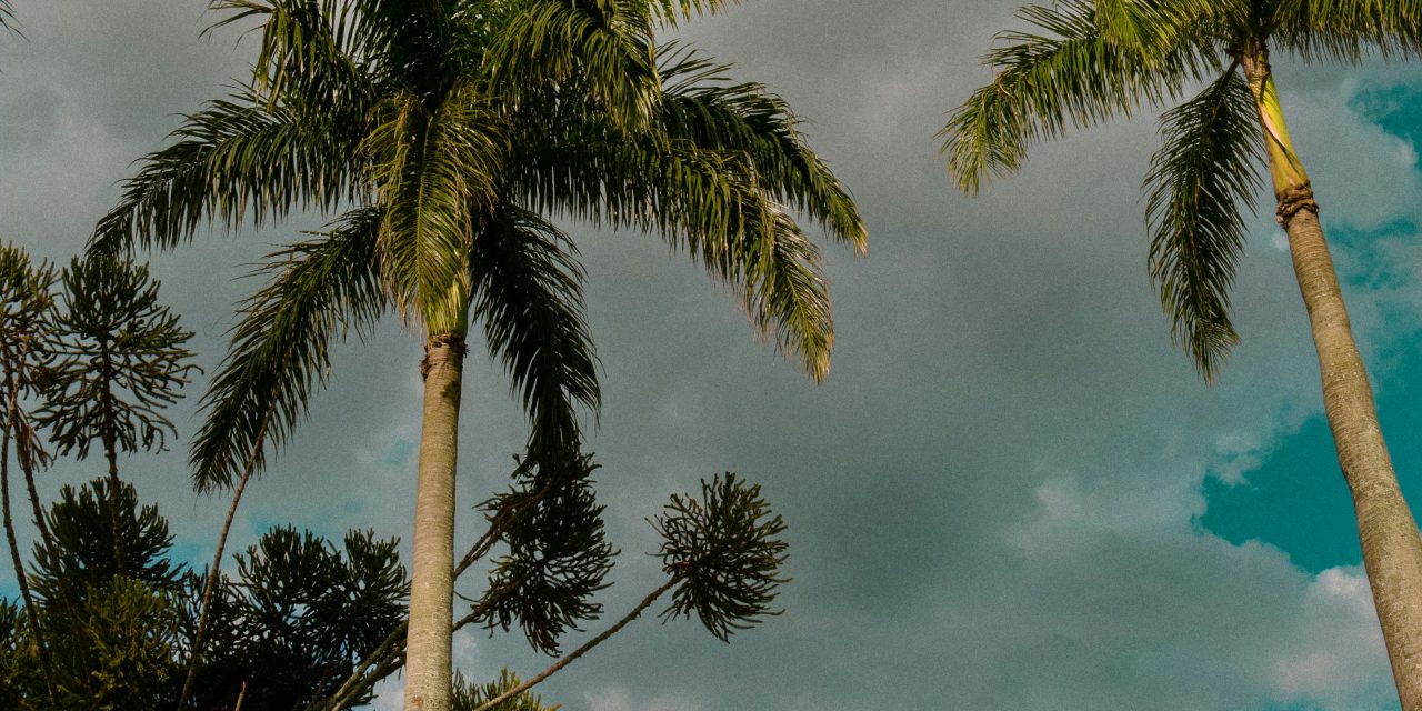 Seminyak Fitness Guide: Gyms, Training, and Active Lifestyle in Bali
    <div class="agoda-widget-container" style="margin: 30px auto; text-align: center; clear: both;">
        <div id="adgshp-1057899162-top"></div>
        <script type="text/javascript">
        (function() {
            var stg = new Object(); 
            stg.crt="4400207782257";
            stg.version="1.05"; 
            stg.id=stg.name="adgshp-1057899162-top"; 
            stg.Width="728px"; 
            stg.Height="90px";
            stg.RefKey="n+6Yd+4G56NUyOfdQAQQ/Q==";
            stg.AutoScrollSpeed=3000;
            stg.AutoScrollToggle=true;
            stg.SearchboxShow=false;
            stg.DiscountedOnly=true;
            stg.Layout="widedynamic"; 
            stg.Language="en-us";
            stg.ApiKey="32d3ebbc-e5d5-4a35-824a-e9d09ddd8ca8";
            stg.Cid="1954549";  
            stg.Area="27988"; 
            stg.City="17193";
            stg.Currency="USD";
            stg.OverideConf=false; 
            new AgdDynamic("adgshp-1057899162-top").initialize(stg);
        })();
        </script>
    </div>