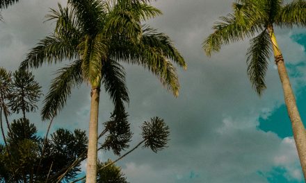 Seminyak Fitness Guide: Gyms, Training, and Active Lifestyle in Bali
    <div class="agoda-widget-container" style="margin: 30px auto; text-align: center; clear: both;">
        <div id="adgshp-1057899162-top"></div>
        <script type="text/javascript">
        (function() {
            var stg = new Object(); 
            stg.crt="4400207782257";
            stg.version="1.05"; 
            stg.id=stg.name="adgshp-1057899162-top"; 
            stg.Width="728px"; 
            stg.Height="90px";
            stg.RefKey="n+6Yd+4G56NUyOfdQAQQ/Q==";
            stg.AutoScrollSpeed=3000;
            stg.AutoScrollToggle=true;
            stg.SearchboxShow=false;
            stg.DiscountedOnly=true;
            stg.Layout="widedynamic"; 
            stg.Language="en-us";
            stg.ApiKey="32d3ebbc-e5d5-4a35-824a-e9d09ddd8ca8";
            stg.Cid="1954549";  
            stg.Area="27988"; 
            stg.City="17193";
            stg.Currency="USD";
            stg.OverideConf=false; 
            new AgdDynamic("adgshp-1057899162-top").initialize(stg);
        })();
        </script>
    </div>