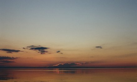 Seminyak Cafes: Coffee, Brunch, and Healthy Dining in Bali
    <div class="agoda-widget-container" style="margin: 30px auto; text-align: center; clear: both;">
        <div id="adgshp-1057899162-top"></div>
        <script type="text/javascript">
        (function() {
            var stg = new Object(); 
            stg.crt="4400207782257";
            stg.version="1.05"; 
            stg.id=stg.name="adgshp-1057899162-top"; 
            stg.Width="728px"; 
            stg.Height="90px";
            stg.RefKey="n+6Yd+4G56NUyOfdQAQQ/Q==";
            stg.AutoScrollSpeed=3000;
            stg.AutoScrollToggle=true;
            stg.SearchboxShow=false;
            stg.DiscountedOnly=true;
            stg.Layout="widedynamic"; 
            stg.Language="en-us";
            stg.ApiKey="32d3ebbc-e5d5-4a35-824a-e9d09ddd8ca8";
            stg.Cid="1954549";  
            stg.Area="27988"; 
            stg.City="17193";
            stg.Currency="USD";
            stg.OverideConf=false; 
            new AgdDynamic("adgshp-1057899162-top").initialize(stg);
        })();
        </script>
    </div>