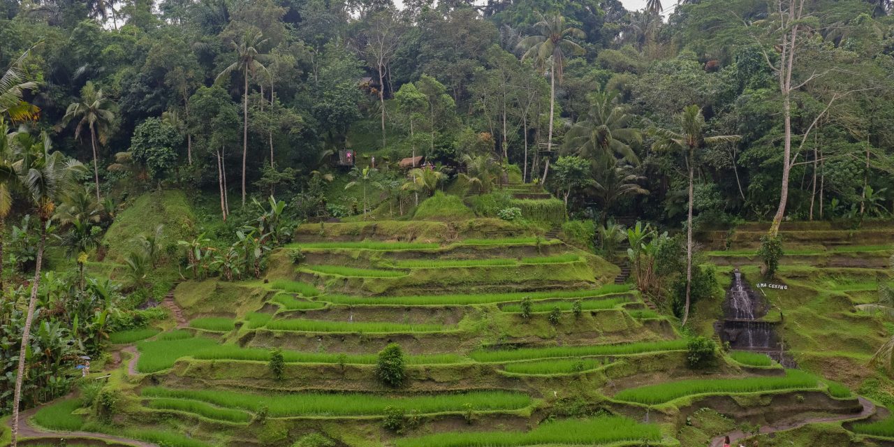 Discover Seminyak Beach: Your Ultimate Guide to Bali’s Trendiest Coastal Paradise
    <div class="agoda-widget-container" style="margin: 30px auto; text-align: center; clear: both;">
        <div id="adgshp-1057899162-top"></div>
        <script type="text/javascript">
        (function() {
            var stg = new Object(); 
            stg.crt="4400207782257";
            stg.version="1.05"; 
            stg.id=stg.name="adgshp-1057899162-top"; 
            stg.Width="728px"; 
            stg.Height="90px";
            stg.RefKey="n+6Yd+4G56NUyOfdQAQQ/Q==";
            stg.AutoScrollSpeed=3000;
            stg.AutoScrollToggle=true;
            stg.SearchboxShow=false;
            stg.DiscountedOnly=true;
            stg.Layout="widedynamic"; 
            stg.Language="en-us";
            stg.ApiKey="32d3ebbc-e5d5-4a35-824a-e9d09ddd8ca8";
            stg.Cid="1954549";  
            stg.Area="27988"; 
            stg.City="17193";
            stg.Currency="USD";
            stg.OverideConf=false; 
            new AgdDynamic("adgshp-1057899162-top").initialize(stg);
        })();
        </script>
    </div>