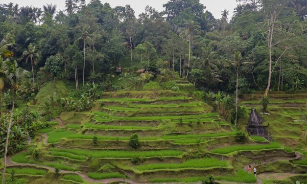 Discover Seminyak Beach: Your Ultimate Guide to Bali’s Trendiest Coastal Paradise