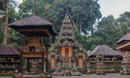 Seminyak Nightlife Guide: Beach Clubs, Bars, and Entertainment After Dark
    <div class="agoda-widget-container" style="margin: 30px auto; text-align: center; clear: both;">
        <div id="adgshp-1057899162-top"></div>
        <script type="text/javascript">
        (function() {
            var stg = new Object(); 
            stg.crt="4400207782257";
            stg.version="1.05"; 
            stg.id=stg.name="adgshp-1057899162-top"; 
            stg.Width="728px"; 
            stg.Height="90px";
            stg.RefKey="n+6Yd+4G56NUyOfdQAQQ/Q==";
            stg.AutoScrollSpeed=3000;
            stg.AutoScrollToggle=true;
            stg.SearchboxShow=false;
            stg.DiscountedOnly=true;
            stg.Layout="widedynamic"; 
            stg.Language="en-us";
            stg.ApiKey="32d3ebbc-e5d5-4a35-824a-e9d09ddd8ca8";
            stg.Cid="1954549";  
            stg.Area="27988"; 
            stg.City="17193";
            stg.Currency="USD";
            stg.OverideConf=false; 
            new AgdDynamic("adgshp-1057899162-top").initialize(stg);
        })();
        </script>
    </div>